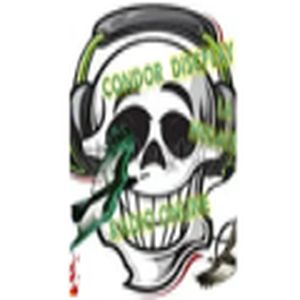 Condor discplay la radio online