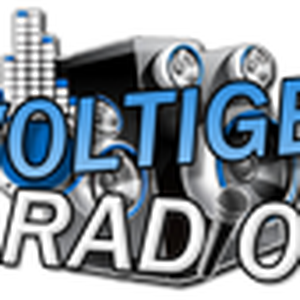 VOLTIGERADIO