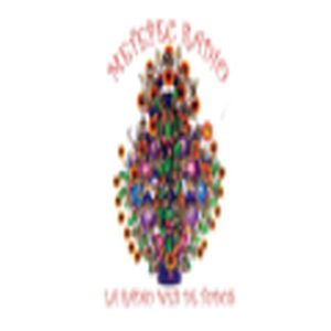 Metepec radio